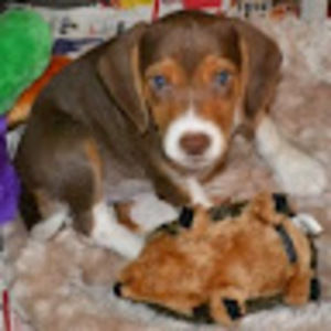 Meet your Posher, Sarinah